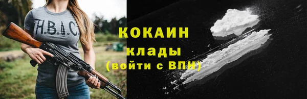 тгк Алексин