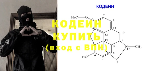 прущие грибы Алзамай