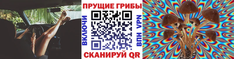 Псилоцибиновые грибы ЛСД  KRAKEN ТОР  Мураши 